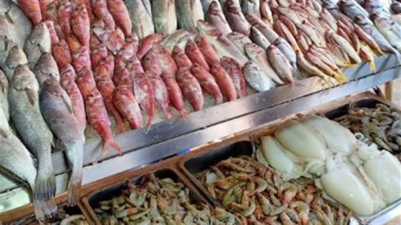 أسعار الأسماك بمطروح.. رصد تغيرات حركة الشراء في أسواق المدينة الساحلية